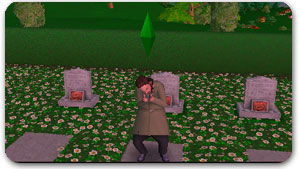 Die Sims 3 für Nintendo 3DS